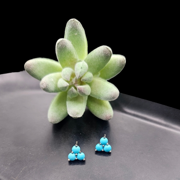 Turquoise Trinity Earrings - Picture 4 of 5